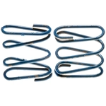 Order RAYBESTOS - H1353 - Rear Parking Brake Strut Springs For Your Vehicle