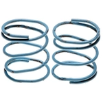 Order Parking Brake Strut Spring by RAYBESTOS - H1341 For Your Vehicle