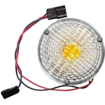 Order Parking Light Assembly by CROWN AUTOMOTIVE JEEP REPLACEMENT - J0989852 For Your Vehicle