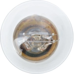 Order Parking Light by PHILIPS - 2397LLB2 For Your Vehicle