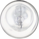 Order Parking Light by PHILIPS - 916LLB2 For Your Vehicle