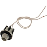 Order AC DELCO - LS176 - Stop Light Socket For Your Vehicle