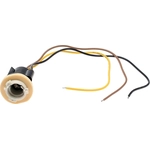 Order Parking Light Socket by ACDELCO - LS248 For Your Vehicle