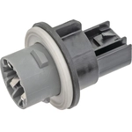 Order Parking Light Socket by BLUE STREAK (HYGRADE MOTOR) - S2627 For Your Vehicle