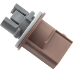 Order Parking Light Socket by BLUE STREAK (HYGRADE MOTOR) - S2643 For Your Vehicle