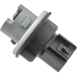 Order Parking Light Socket by BLUE STREAK (HYGRADE MOTOR) - S2671 For Your Vehicle