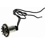 Order Parking Light Socket by BLUE STREAK (HYGRADE MOTOR) - S29 For Your Vehicle