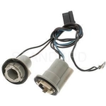 Order Parking Light Socket by BLUE STREAK (HYGRADE MOTOR) - S76 For Your Vehicle