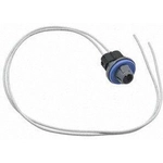 Order BLUE STREAK (HYGRADE MOTOR) - S789 - Prise de lumière de stationnement For Your Vehicle