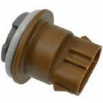 Order Parking Light Socket by BLUE STREAK (HYGRADE MOTOR) - S808 For Your Vehicle