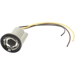 Order Parking Light Socket by BWD AUTOMOTIVE - PT53 For Your Vehicle