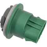 Order BWD AUTOMOTIVE - PT5741 - Parking Light Bulb Socket For Your Vehicle