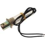 Order STANDARD - PRO SERIES - S36N - License Lamp Socket For Your Vehicle
