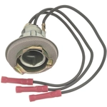 Order STANDARD - PRO SERIES - S69 - Back Up Light Socket For Your Vehicle