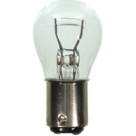 Order Parking Light (Pack of 10) by WAGNER - 17916 For Your Vehicle