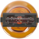 Order Parking Light by WAGNER - BP4157NALL For Your Vehicle