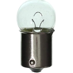 Order Parking Light by WAGNER - BP67 For Your Vehicle