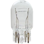 Order Parking Light by WAGNER - BP7443 For Your Vehicle