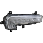 Order Lampe de conduite côté passager - GM2563110C For Your Vehicle