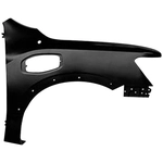 Order Passenger Side Fender - NI1241226C For Your Vehicle