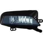 Order Passenger Side Fog Lamp Assembly - AU2593121 For Your Vehicle