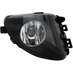 Order Passenger Side Fog Lamp Assembly - BM2593140 For Your Vehicle