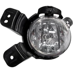 Order Passenger Side Fog Lamp Assembly by DEPO - 235-2017R-AQN For Your Vehicle