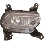 Order Passenger Side Fog Lamp Assembly by DEPO - 321-2046R-AC For Your Vehicle