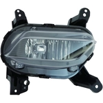 Order Passenger Side Fog Lamp Assembly by DEPO - 321-2046R-AS For Your Vehicle
