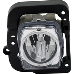 Order Passenger Side Fog Lamp Assembly by DEPO - 327-2011R-AS For Your Vehicle