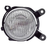 Order Passenger Side Fog Lamp Assembly by DEPO - 330-2021R-AS For Your Vehicle
