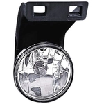Order Passenger Side Fog Lamp Assembly by DEPO - 334-2011R-AS For Your Vehicle