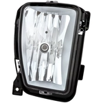 Order Passenger Side Fog Lamp Assembly by DEPO - 334-2020R-AC For Your Vehicle