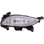 Order Passenger Side Fog Lamp Assembly by EAGLE EYES LIGHTS - HY080-B000R For Your Vehicle