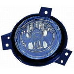 Order Passenger Side Fog Lamp Assembly - FO2593184C For Your Vehicle