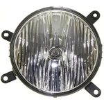 Order Passenger Side Fog Lamp Assembly - FO2593207 For Your Vehicle