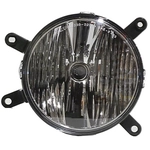 Order Ensemble de phare antibrouillard côté passager - FO2593207C For Your Vehicle