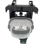 Order Passenger Side Fog Lamp Assembly - FO2593211C For Your Vehicle