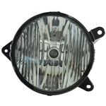 Order Passenger Side Fog Lamp Assembly - FO2593228 For Your Vehicle