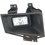 Order Passenger Side Fog Lamp Assembly - FO2593241C For Your Vehicle