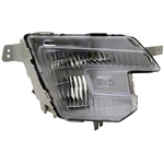 Order Passenger Side Fog Lamp Assembly - FO2593243 For Your Vehicle