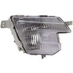 Order Passenger Side Fog Lamp Assembly - FO2593243C For Your Vehicle