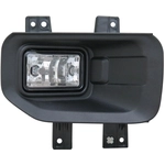 Order Passenger Side Fog Lamp Assembly - FO2593244C For Your Vehicle