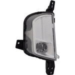 Order Passenger Side Fog Lamp Assembly - FO2593253C For Your Vehicle