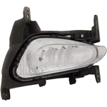 Order Passenger Side Fog Lamp Assembly - GM2593321C For Your Vehicle