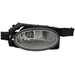 Order Passenger Side Fog Lamp Assembly - HO2593137 For Your Vehicle