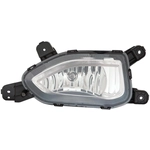 Order Passenger Side Fog Lamp Assembly - HY2593169 For Your Vehicle