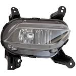 Order Passenger Side Fog Lamp Assembly - HY2593171 For Your Vehicle