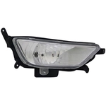 Order Passenger Side Fog Lamp Assembly - KI2593126 For Your Vehicle