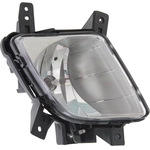 Order Passenger Side Fog Lamp Assembly - KI2593131 For Your Vehicle